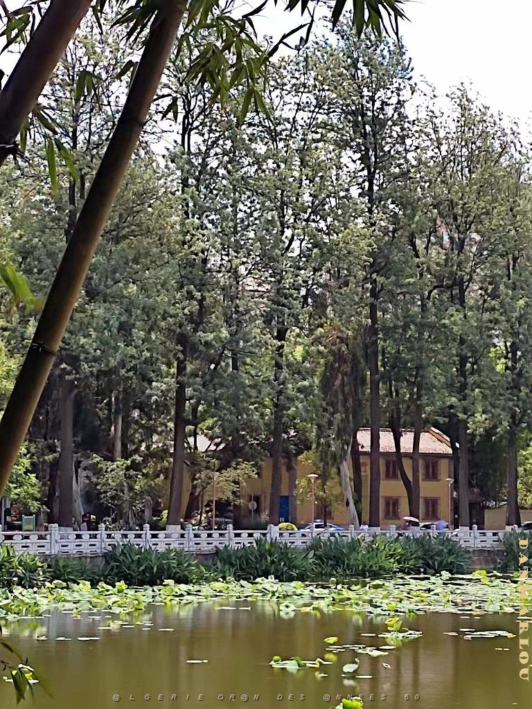 Kunming - Parc Cuihu - 37.jpg